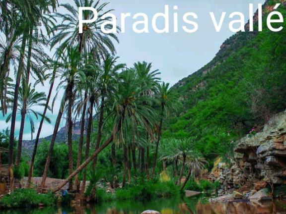 Residence Tafoult Imiouadar Pres De Taghazout Agadir Agadir n'Ait Sa ภายนอก รูปภาพ